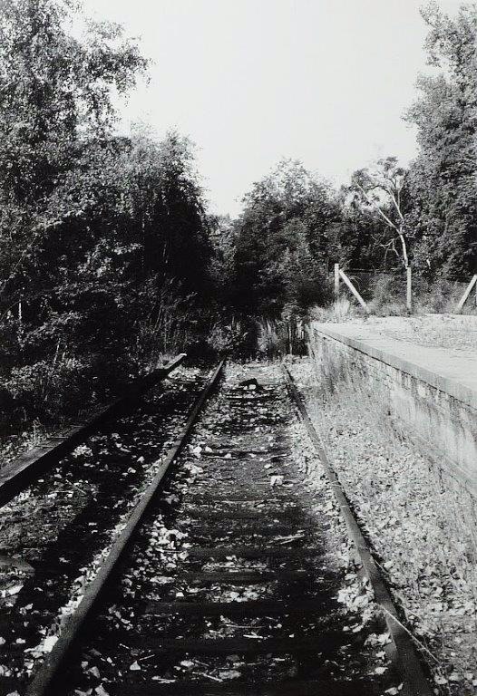 Het overwoekerde spoor van Düppel